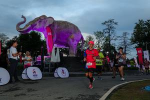 BIB: 
                            <button type="button" onclick="openModal(26529568)" class="btn btn-primary btn-sm float-right btn-popup" data-toggle="modal" data-target=".modal-high-quality">
                        <i class="fas fa-shopping-cart"></i> Add to Cart
                    </button>
                                            <button type="button" onclick="isThisMe(26529568, true)" class="btn btn-success btn-sm float-right btn-popup btn-isme hidden" data-toggle="tooltip" data-placement="bottom" title="นี่คือรูปของคุณใช่ไหม คลิกที่นี่เพื่อเอาเข้าอัลบั้ม">
                        <i class="fas fa-plus"></i> Add to album
                    </button>
                    <button type="button" onclick="isThisMe(26529568, false)" class="btn btn-warning btn-sm float-right btn-popup btn-isnotme hidden">
                        <i class="fas fa-ban"></i> Remove from album
                    </button>